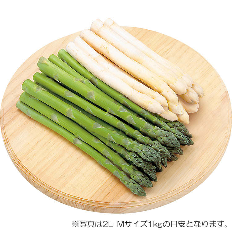 ハウス2色セット（2L／700g）